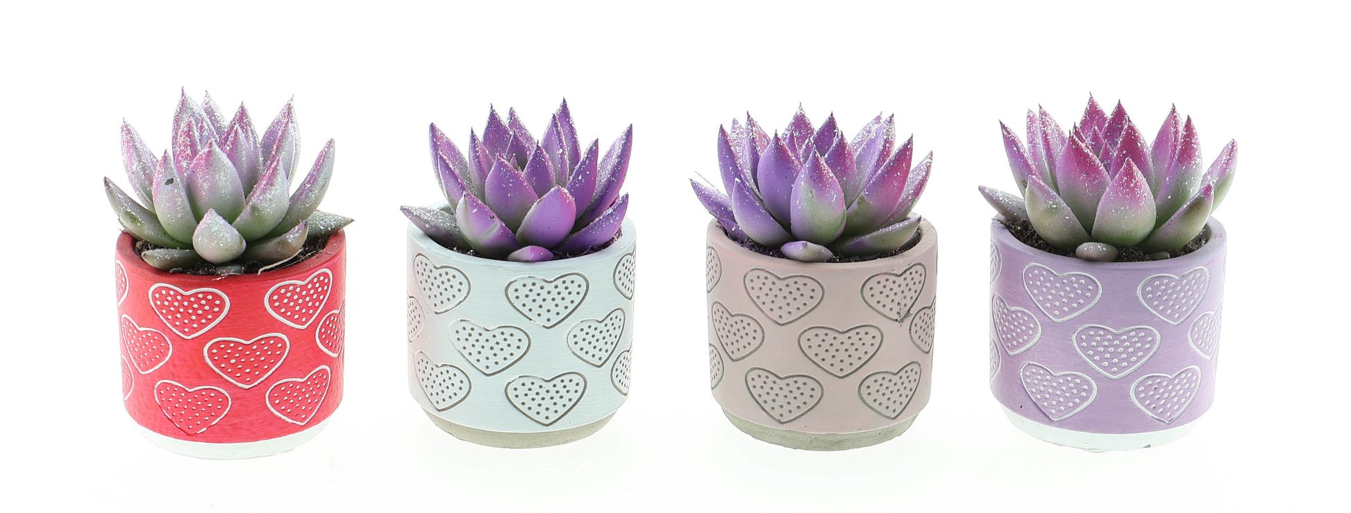 Miranda Valentine Glitter hartjes pot 10cm 505cm Pot