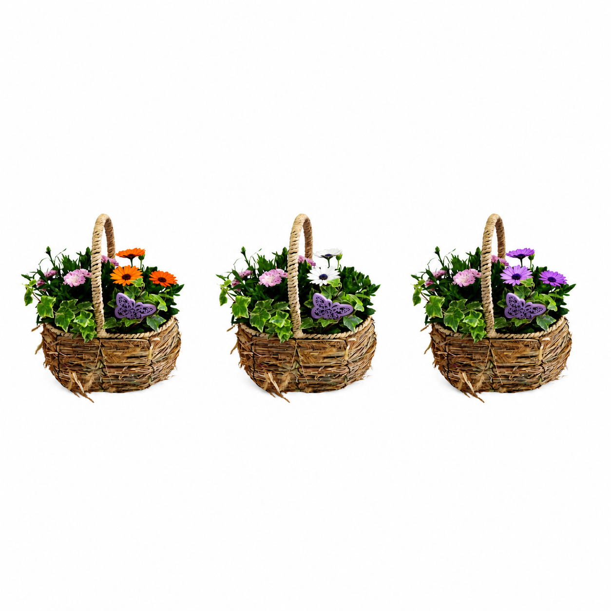 Outdoor arrangement 35cm 22cm Pot