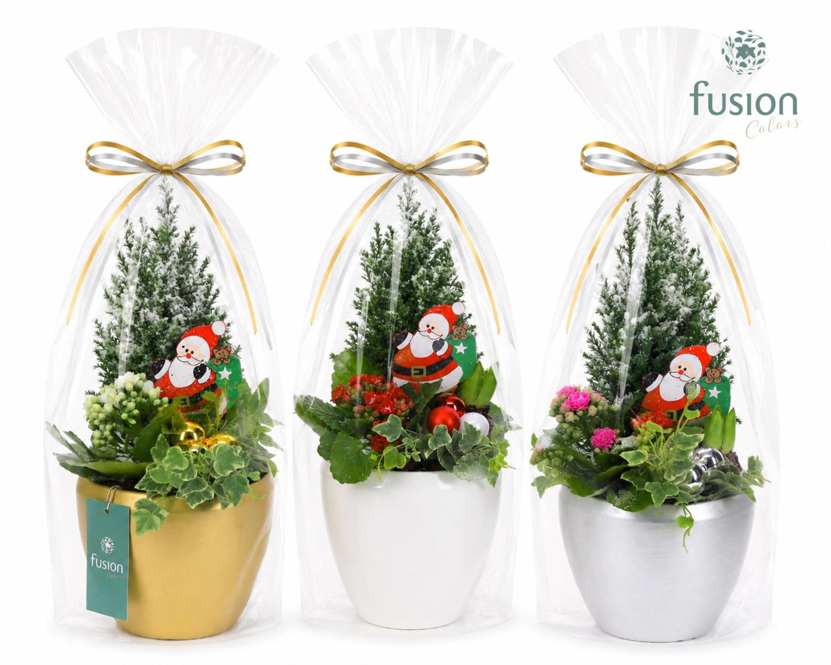 Keramiek pot Lisanne met arrangement kerst 4pp in klaphoes 43cm 15cm Pot