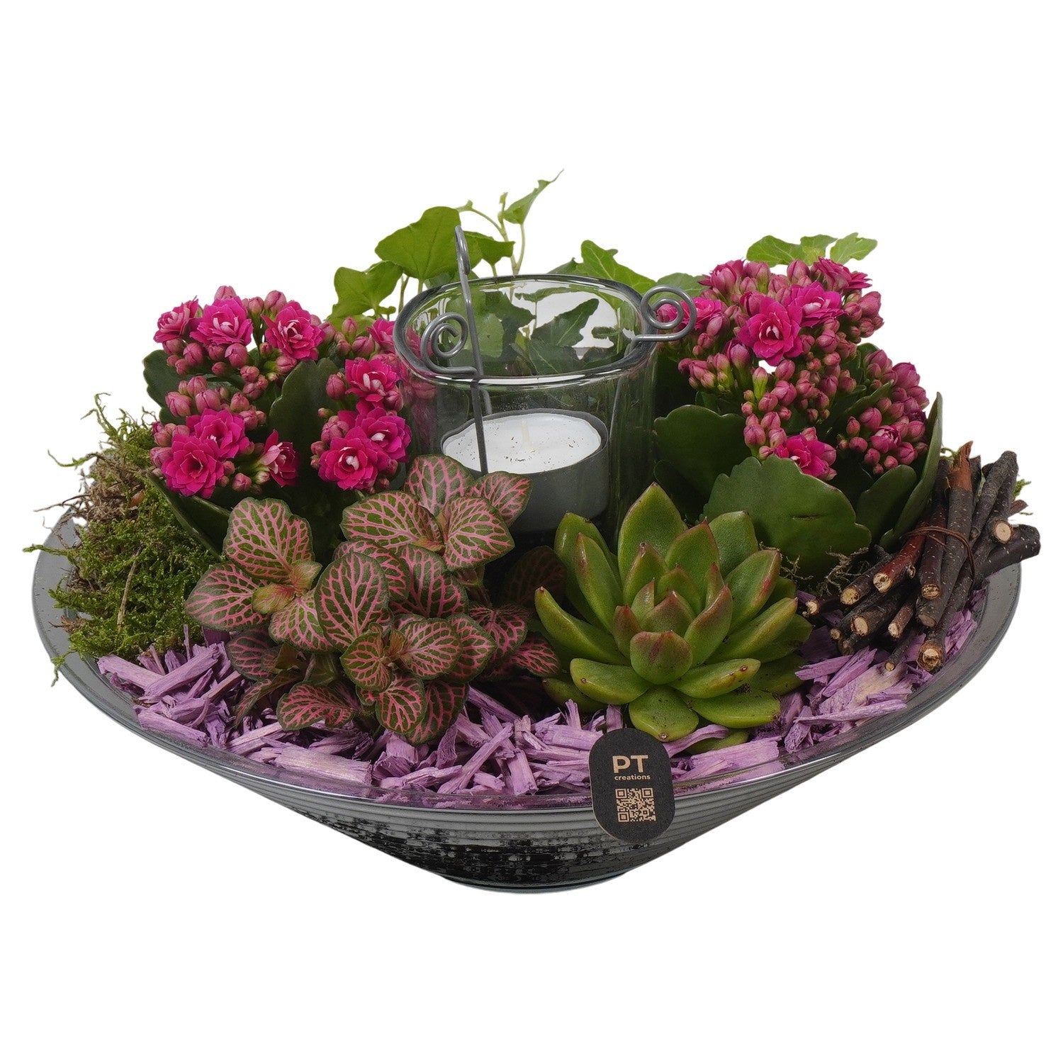 Indoor arrangement 19cm 26cm Pot