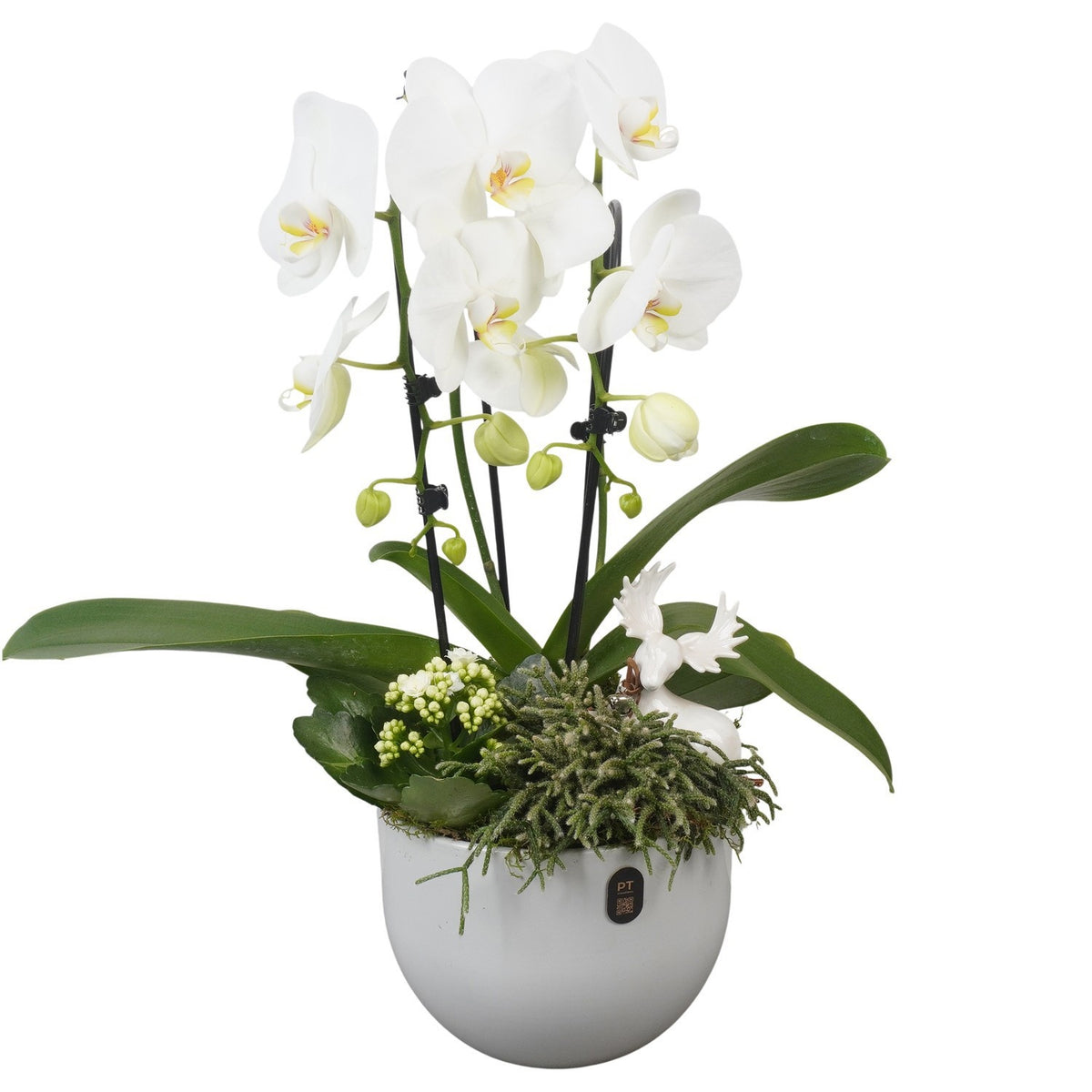 Christmas arrangement 53cm 19cm Pot
