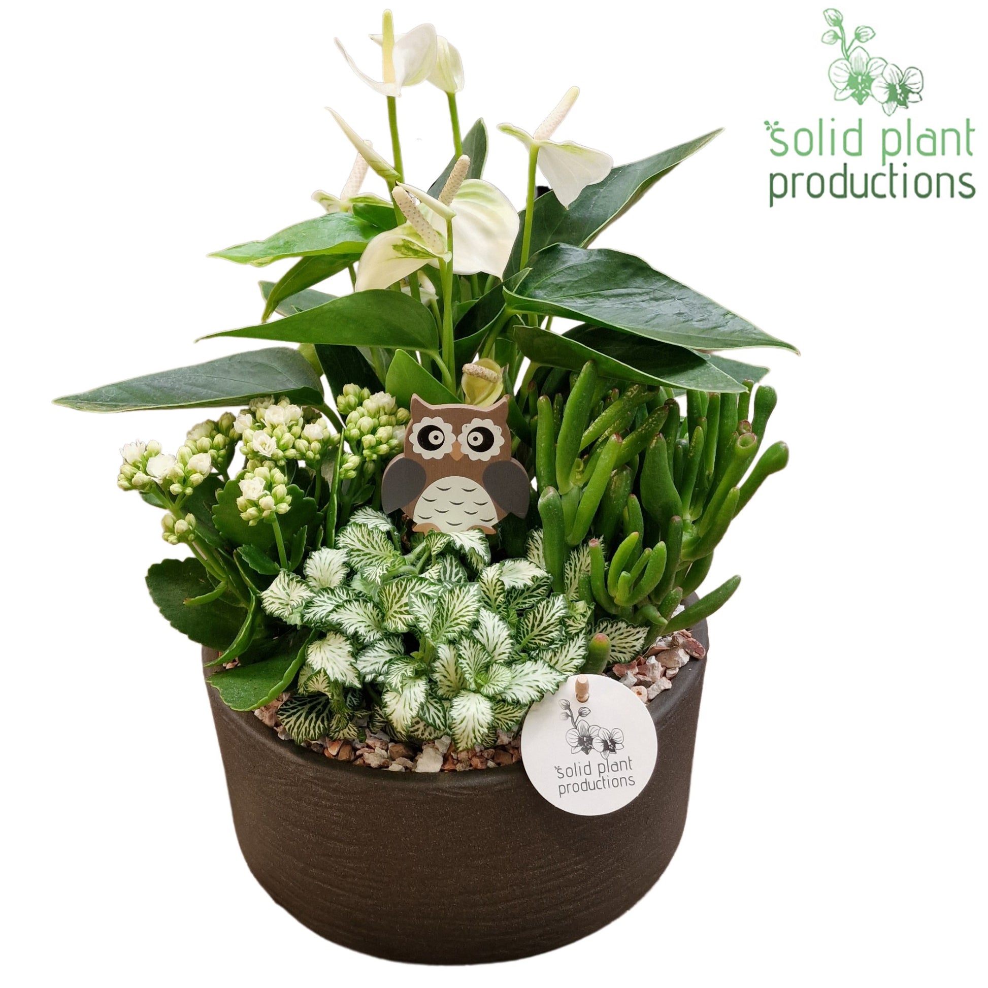 AT004 Stella Grey Stone 42cm 22cm Pot