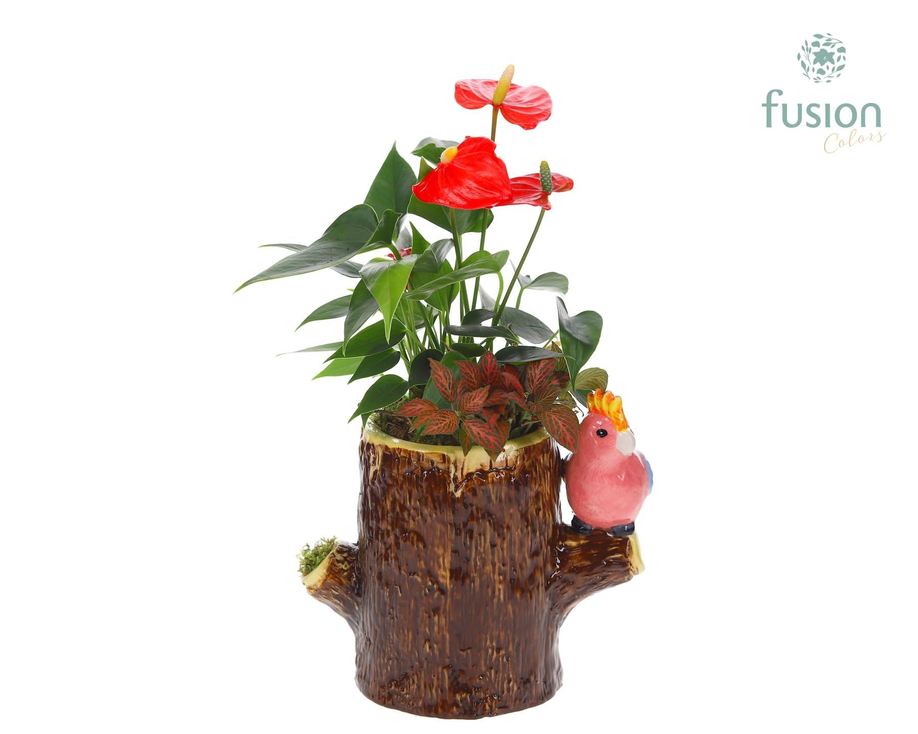 Fusioncolors BV Keramiek boomstam planter met Arrangement Pack of 4