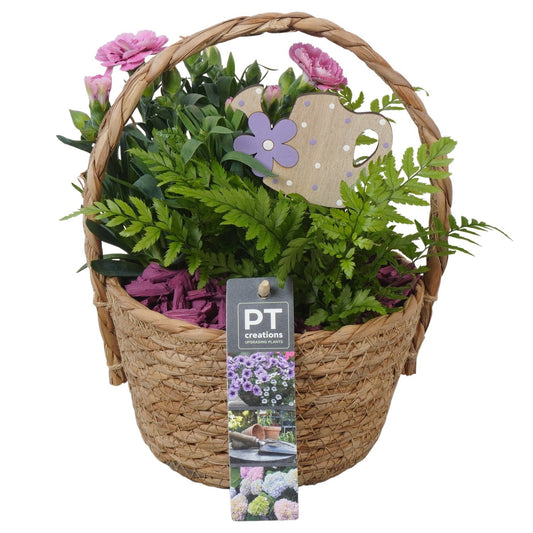 Outdoor arrangement 24cm 15cm Pot