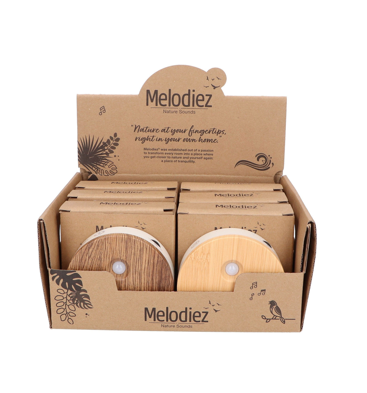 Melodiez Bird Sound House with Sensor+Batteries 12cm 12cm Pot