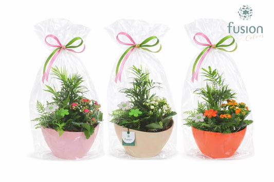 EcoNature Pot schaal Medium met arrangement 43cm 24cm Pot