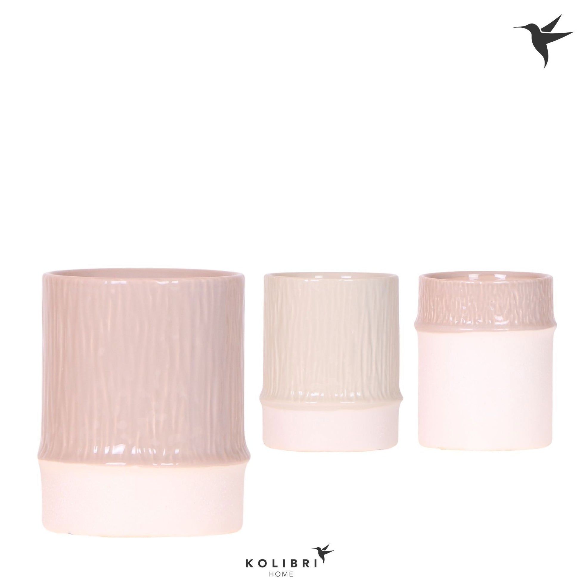OK Plant Kolibri Home Bamboo pot mix Pack of 6