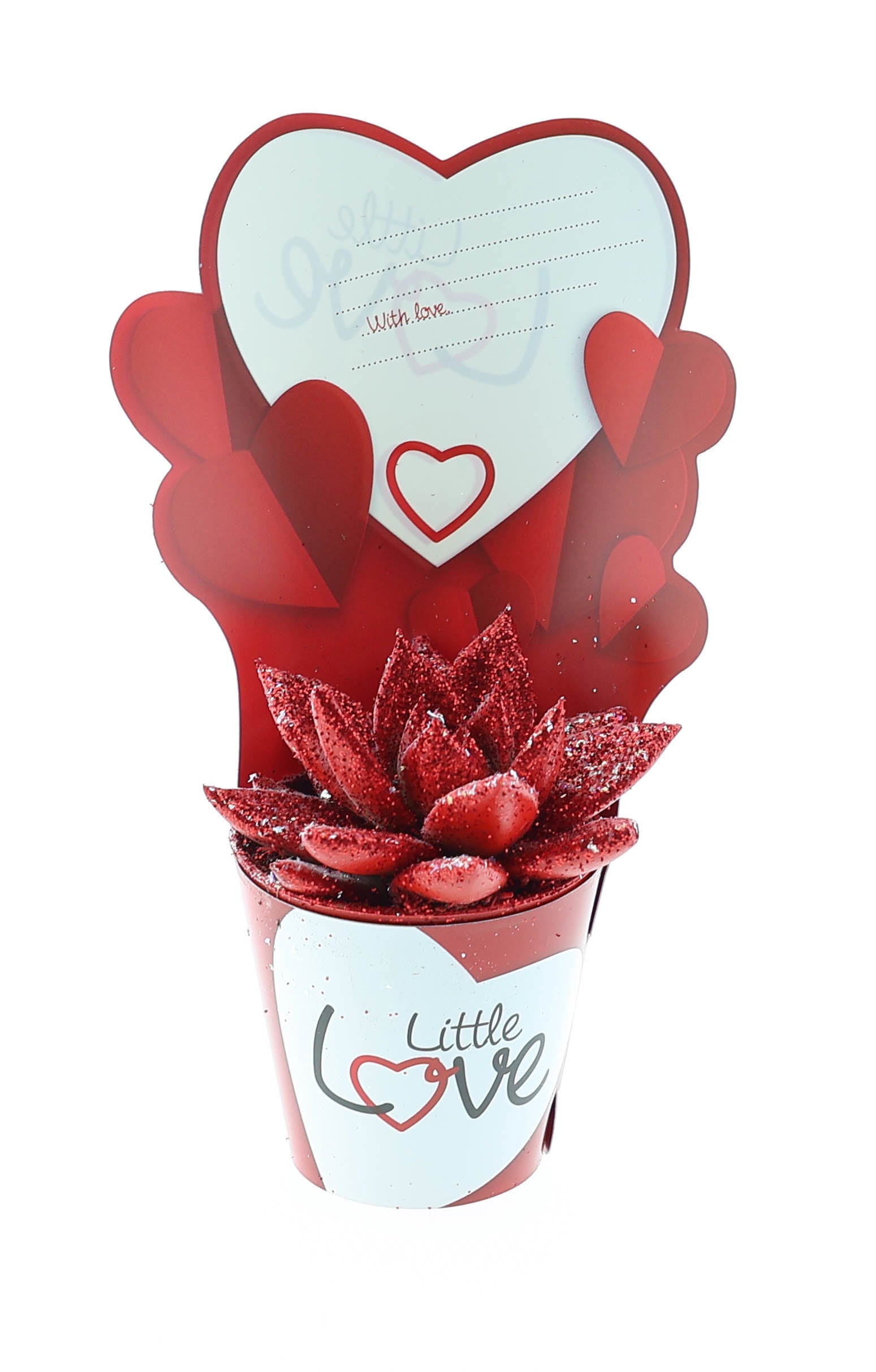 Euro Cactus Holland Bv Potcover little love miranda rood/wit glitter Pack of 20