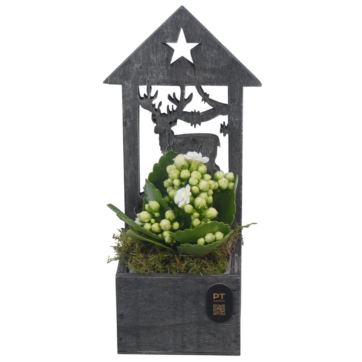 Christmas arrangement 24cm 9cm Pot
