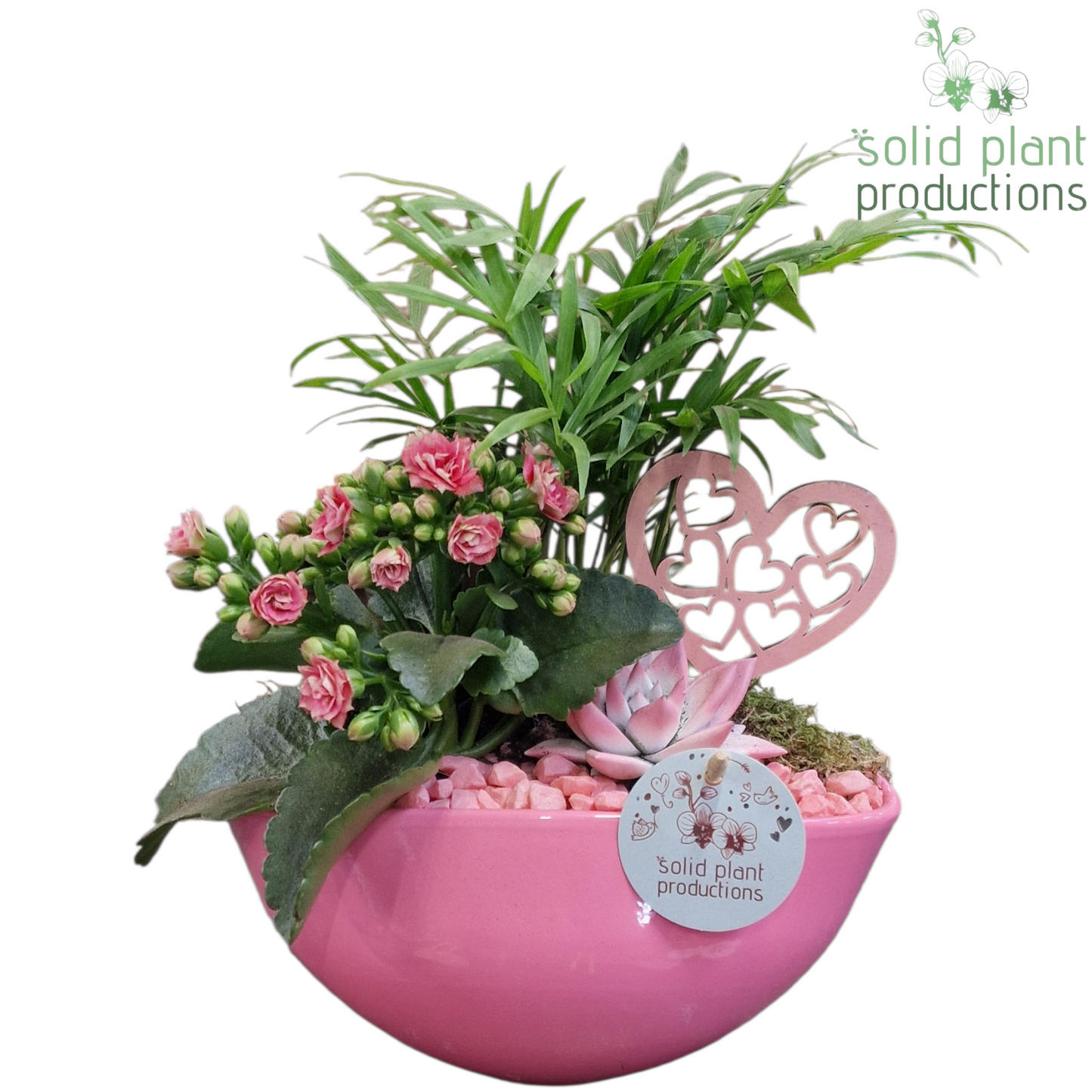 CE005 Evelyn Pink VM 35cm 22cm Pot