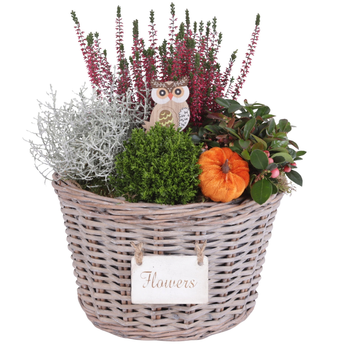 Outdoor arrangement 35cm 27cm Pot
