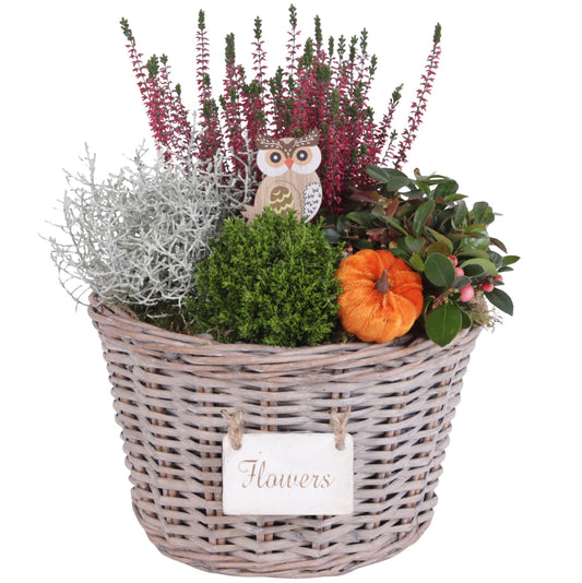 Outdoor arrangement 35cm 27cm Pot