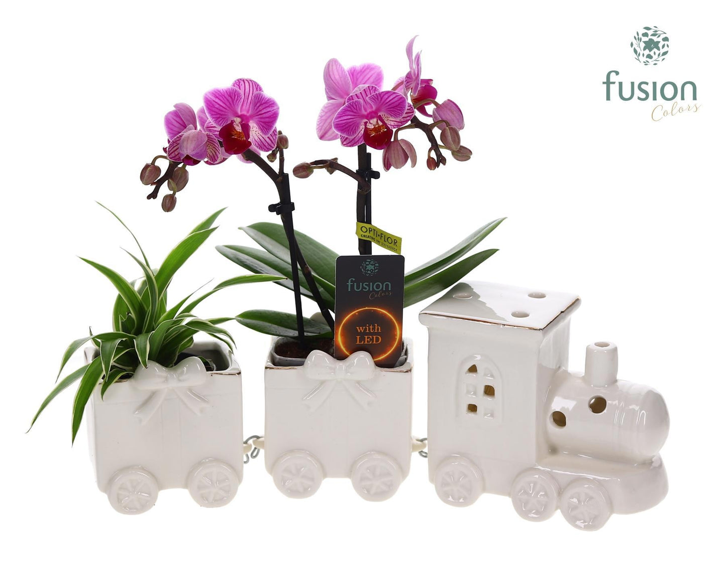 Keramiek LED Trein Medium met Arrangement 25cm 34cm Pot