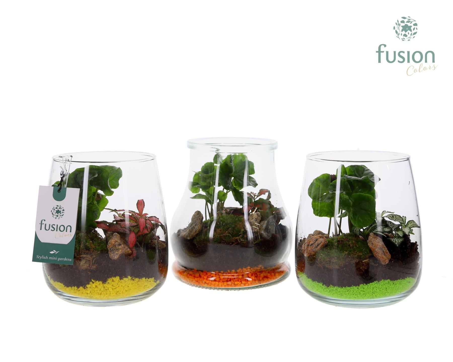 Fusioncolors BV Glas mix met arrangement 2pp Pack of 6
