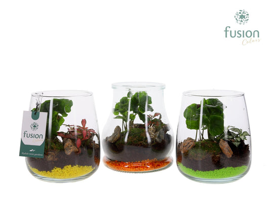 Glas mix met arrangement 2pp 20cm 15cm Pot