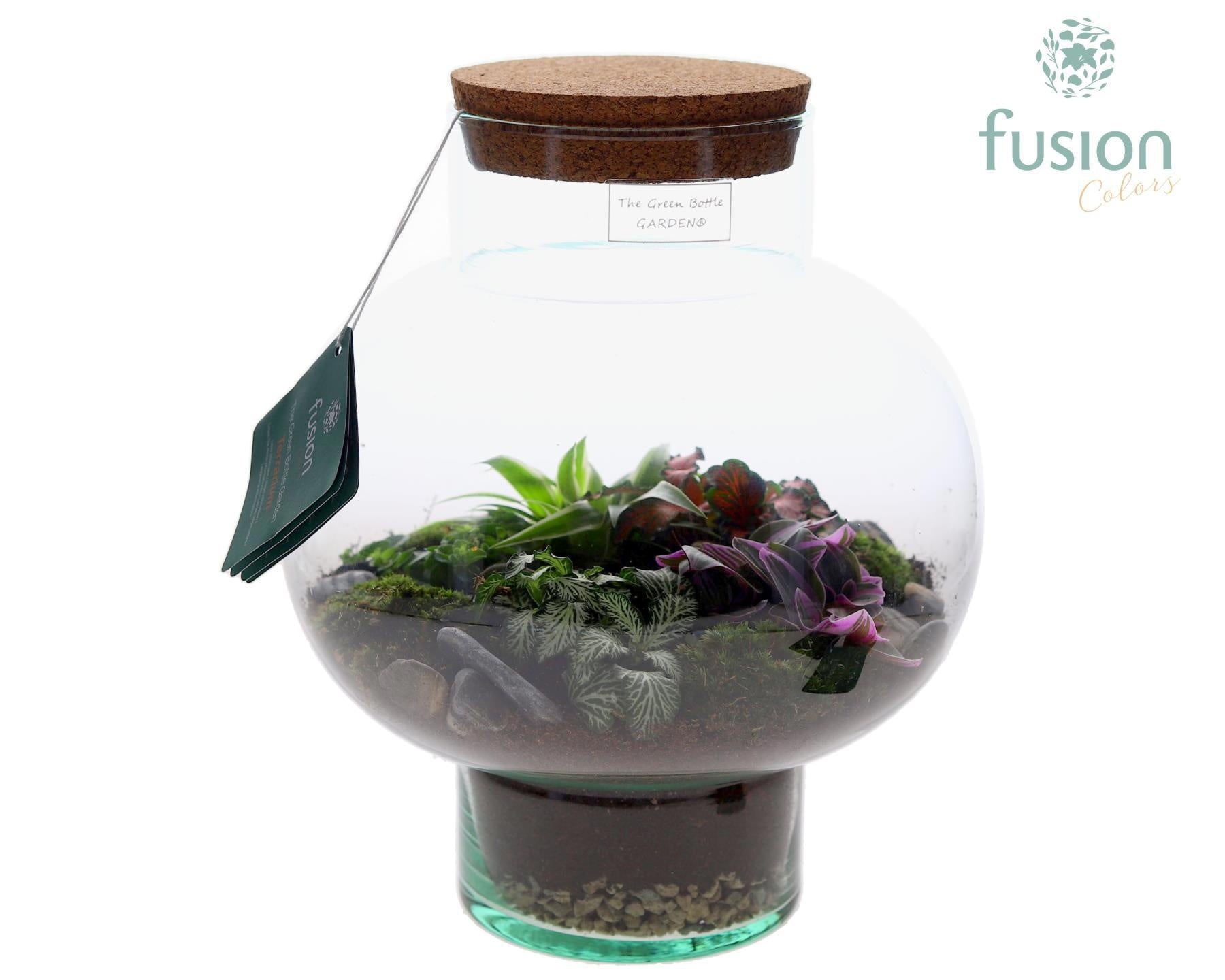 Fusioncolors BV Green Bottle Laura Medium met Terrarium arrangement 5pp Pack of 2