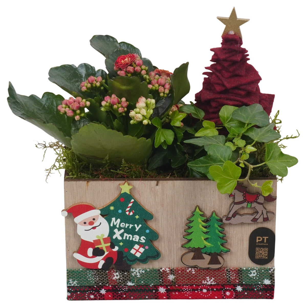 Christmas arrangement 22cm 15cm Pot