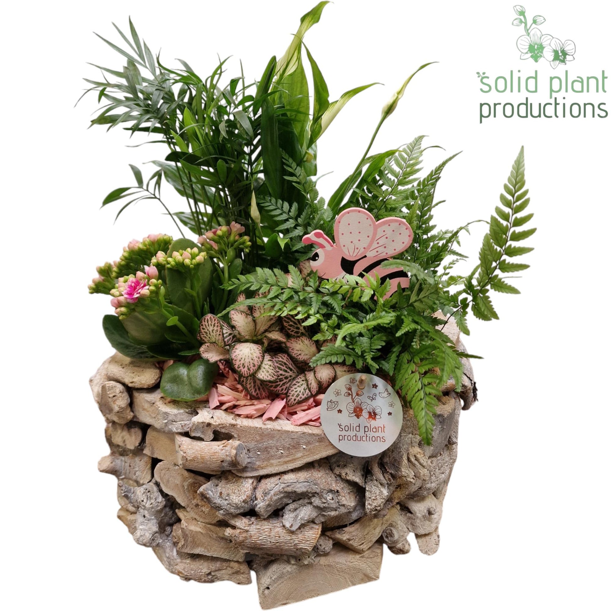 SC013 Driftwood Round White Washed Pink 45cm 31cm Pot