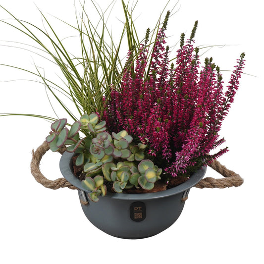 Outdoor arrangement 35cm 18cm Pot