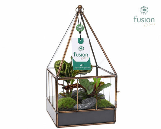 Geometrisch Glazen terrarium huis met arrangement 29cm 16cm Pot