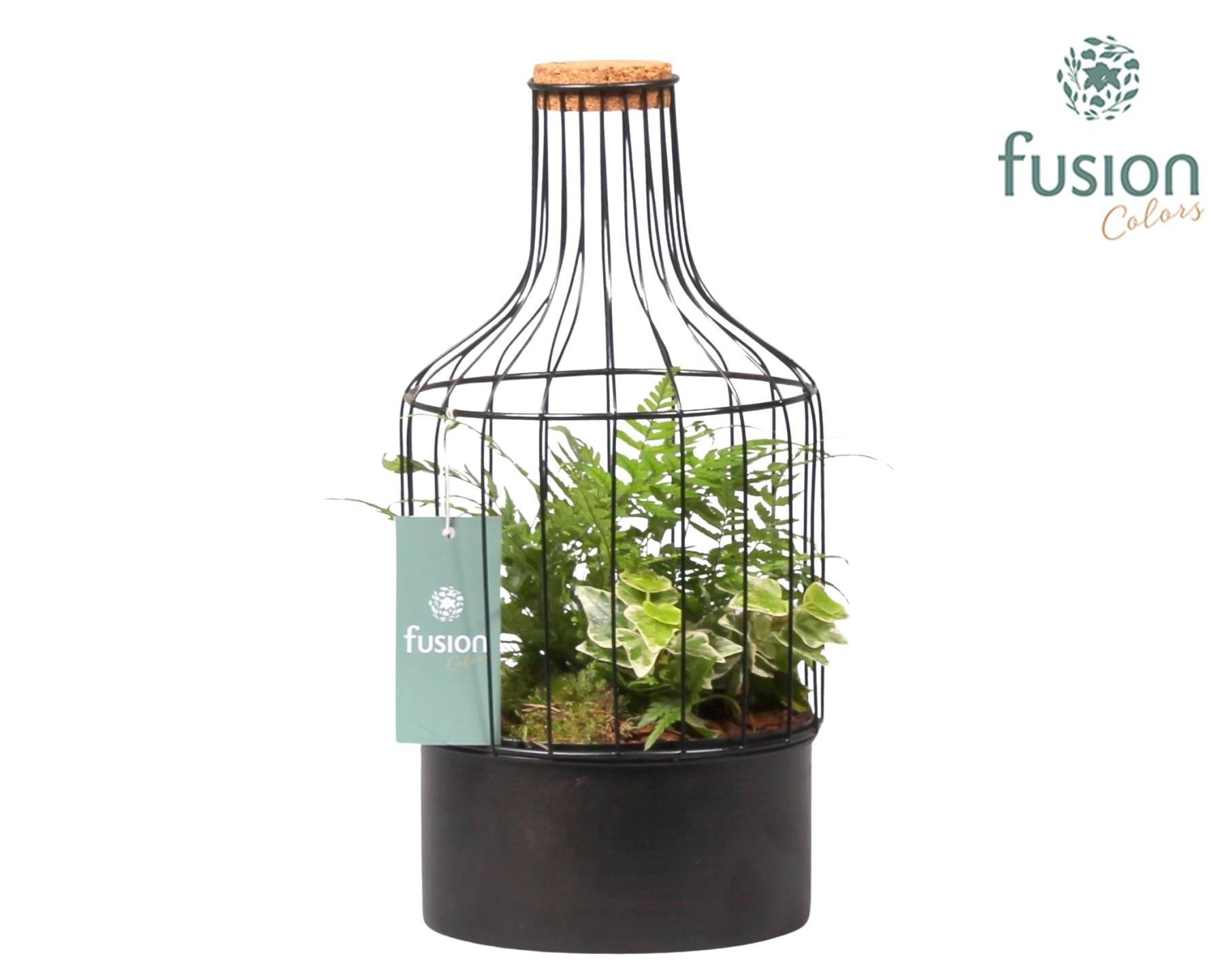 Fusioncolors BV Metaal fles zwart Small met Arrangement Pack of 8