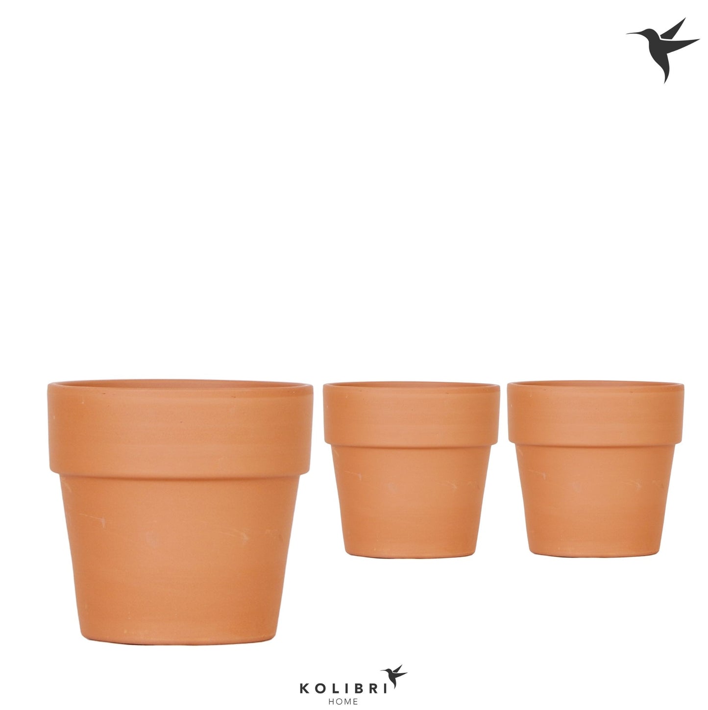 OK Plant Kolibri Home Terracotta pot Pack of 6