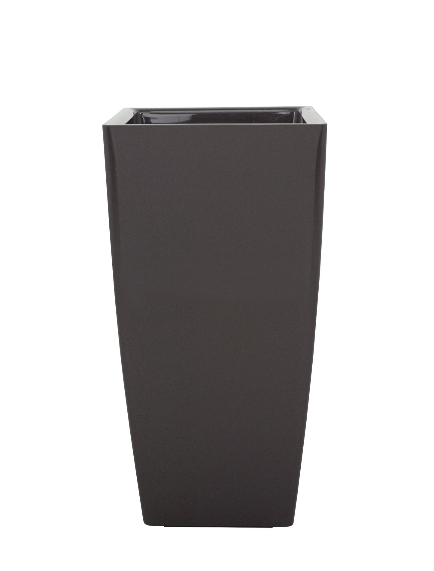 Plants 60cm 33cm Pot