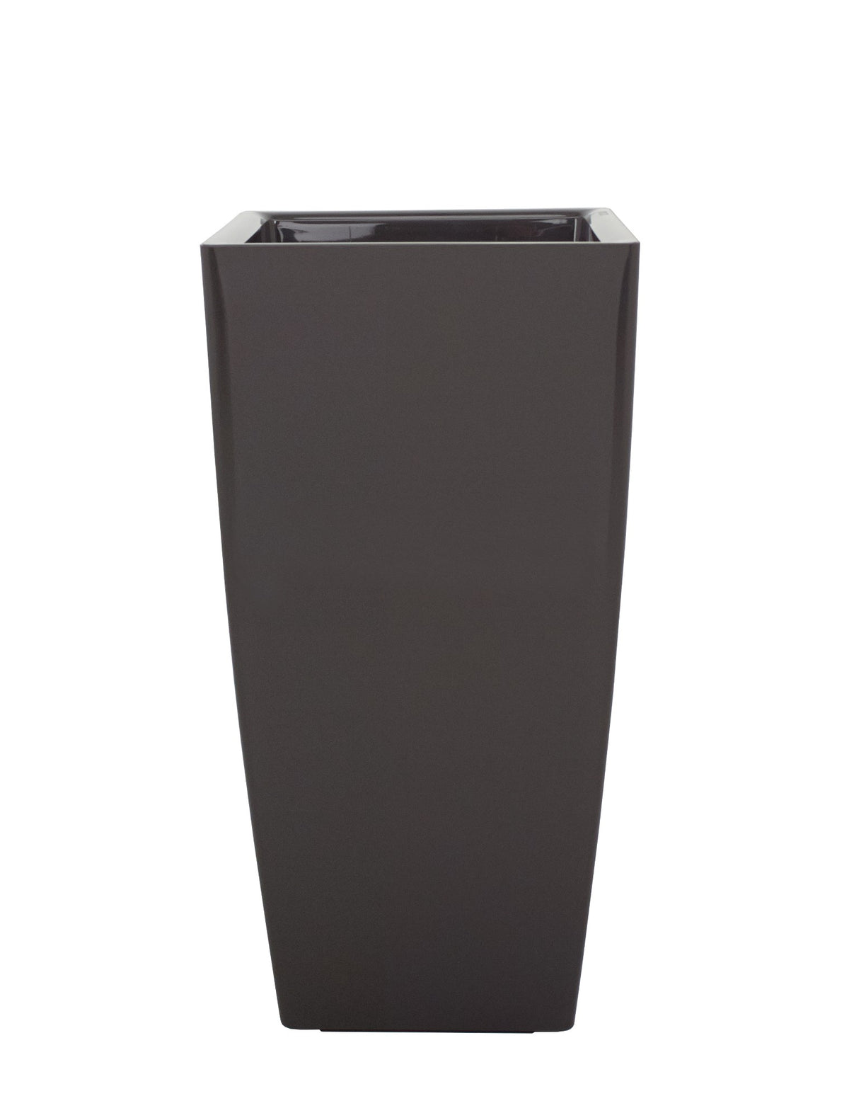 Plants 80cm 40cm Pot
