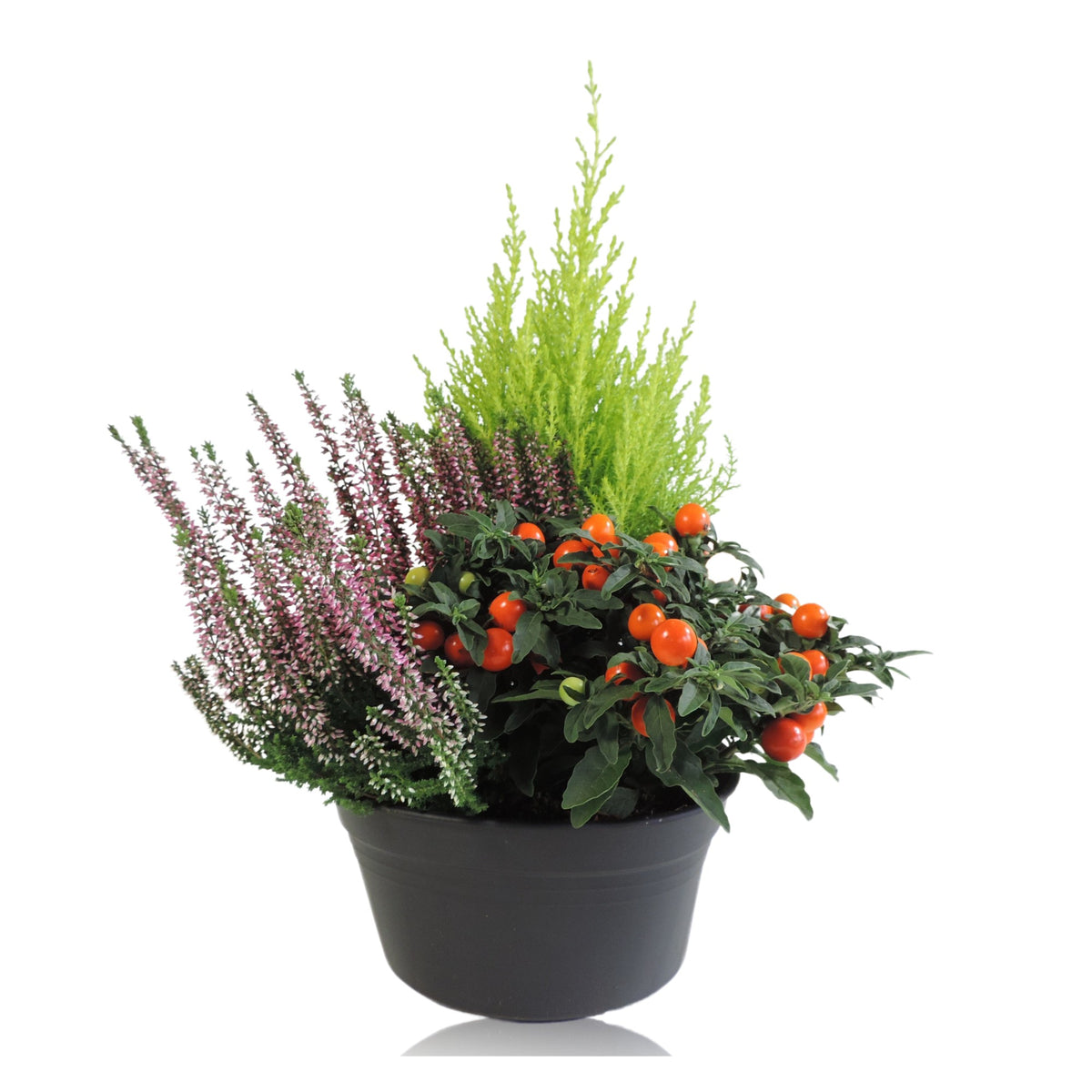Outdoor arrangement 40cm 19cm Pot