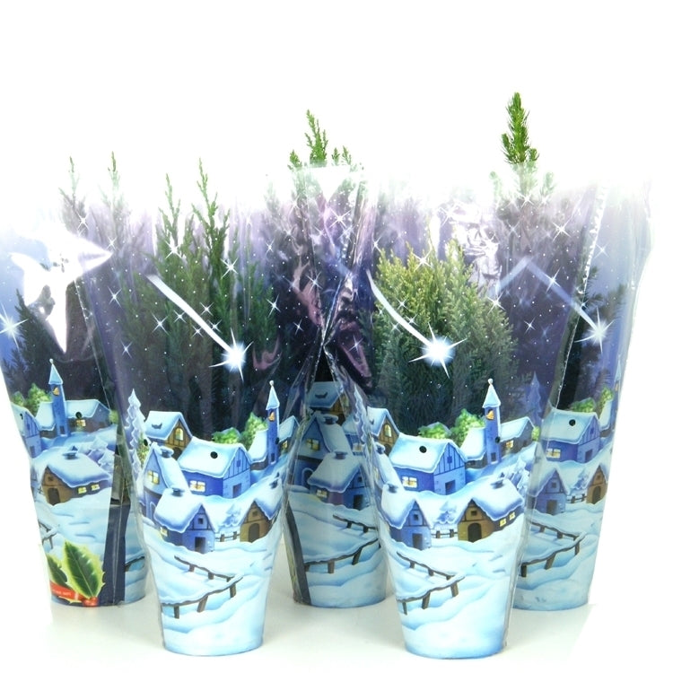Conifer mix 50cm 15cm Pot