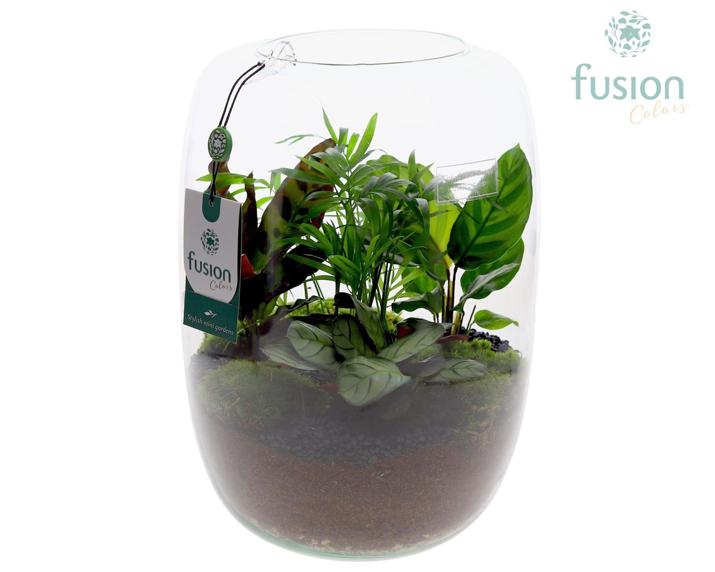 Green Bottle Isabella XLarge met groene planten 35cm 23cm Pot