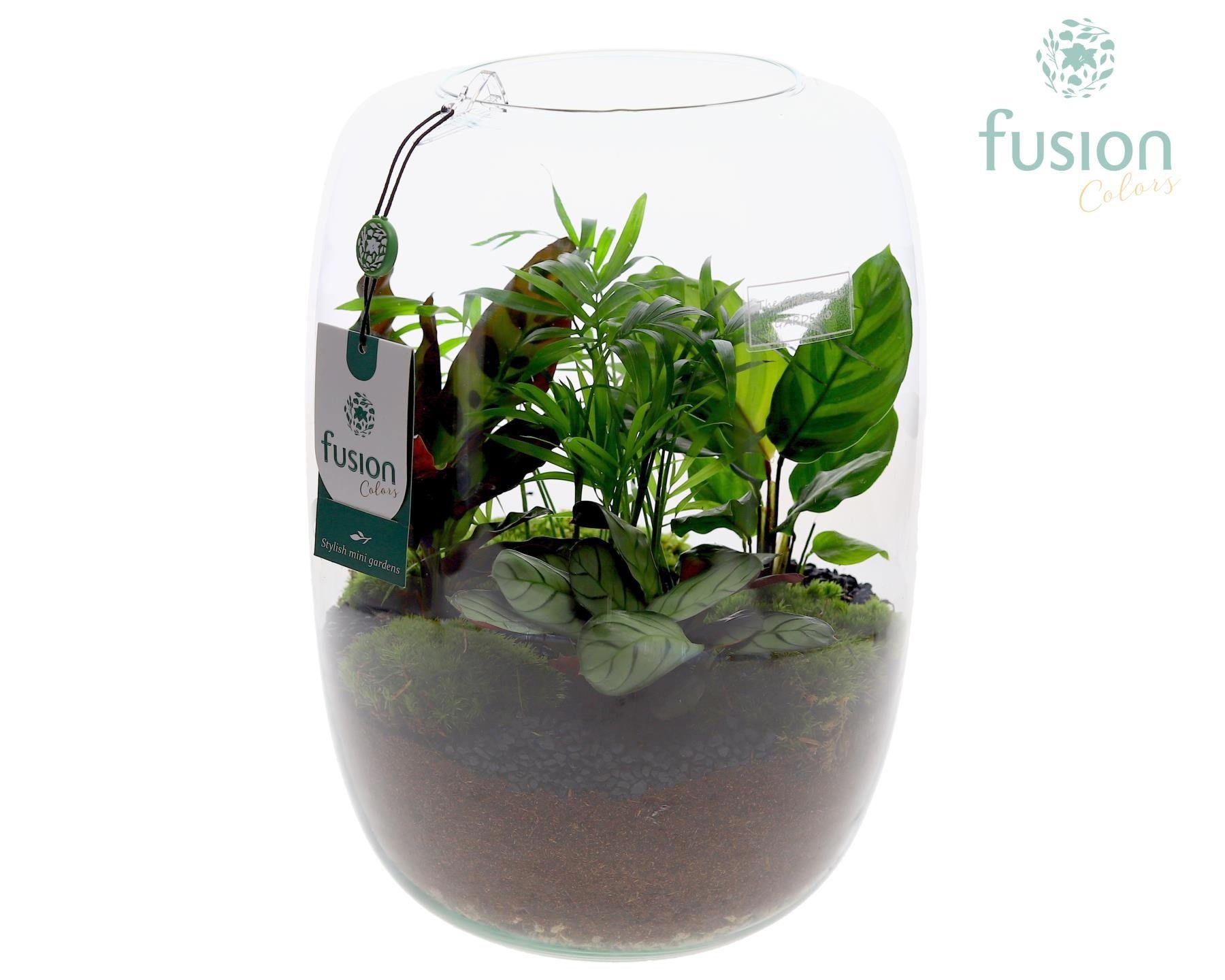 Green Bottle Isabella XLarge met groene planten 35cm 23cm Pot