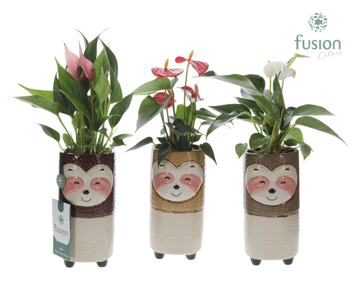 Keramiek Dieren Luiaards met Anthurium 35cm 9cm Pot