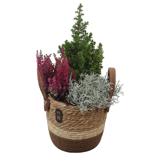 Outdoor arrangement 47cm 21cm Pot
