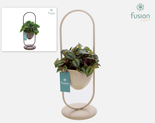 Metaal rek met 1 pot div. kleuren met groene plant 43cm 15cm Pot