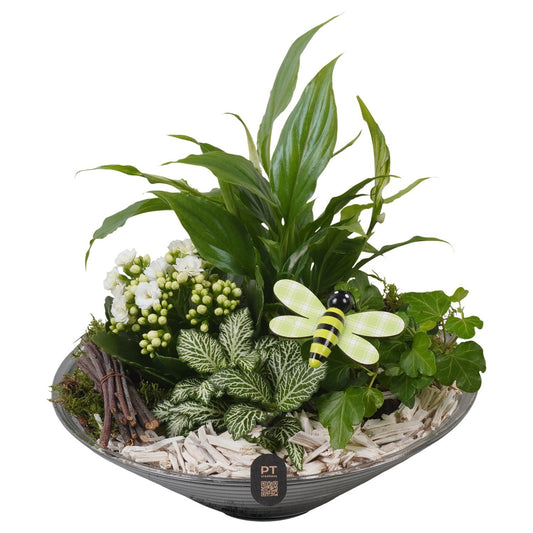 Indoor arrangement 25cm 26cm Pot