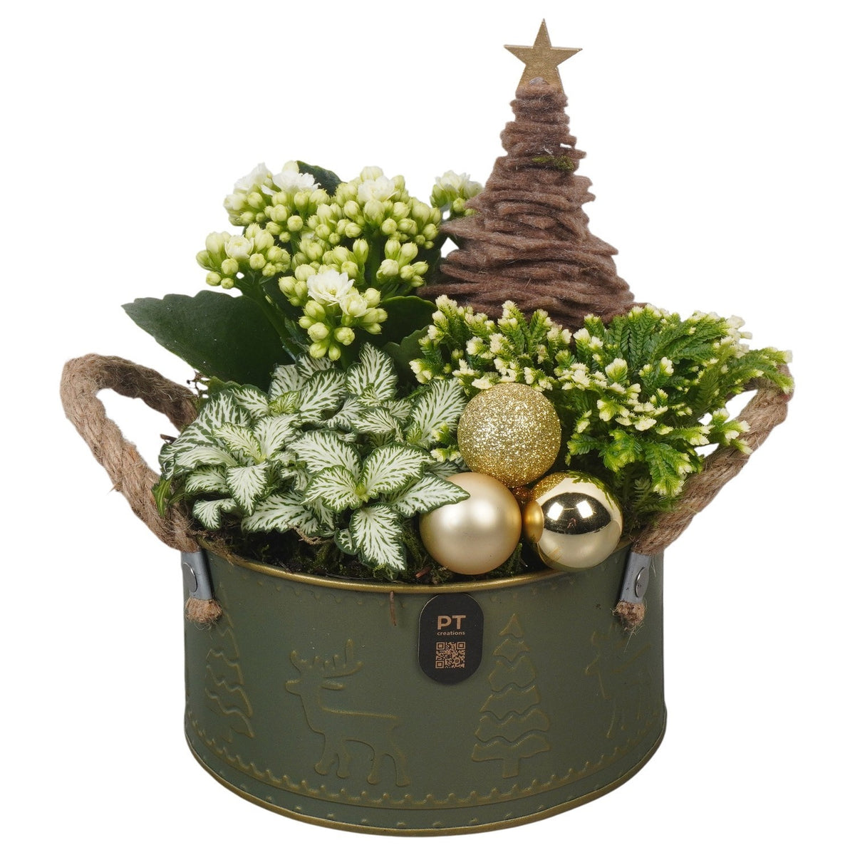 Christmas arrangement 23cm 16cm Pot