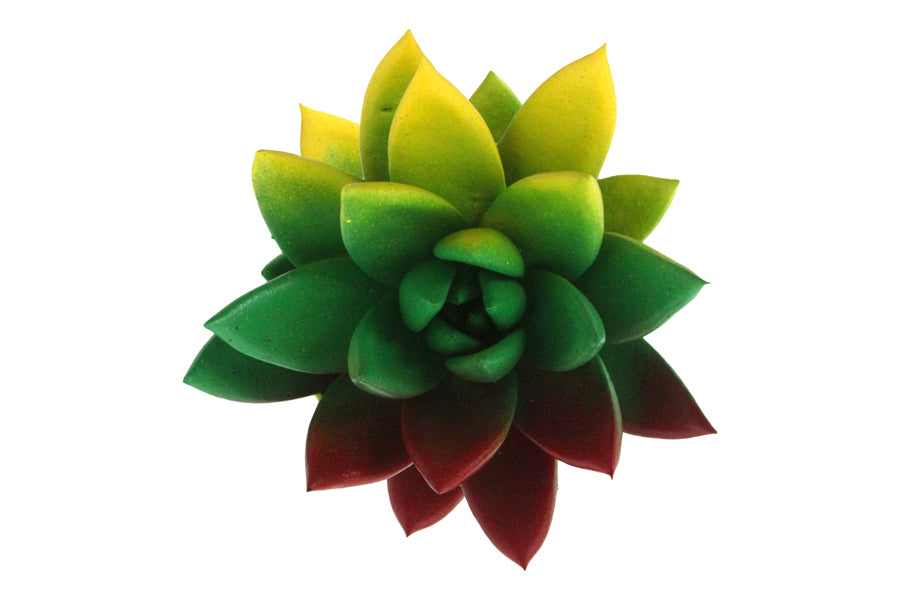 Miranda coloured flag Lithuania 8cm 6cm Pot