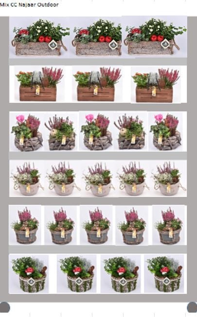 Outdoor arrangement 999cm Pot