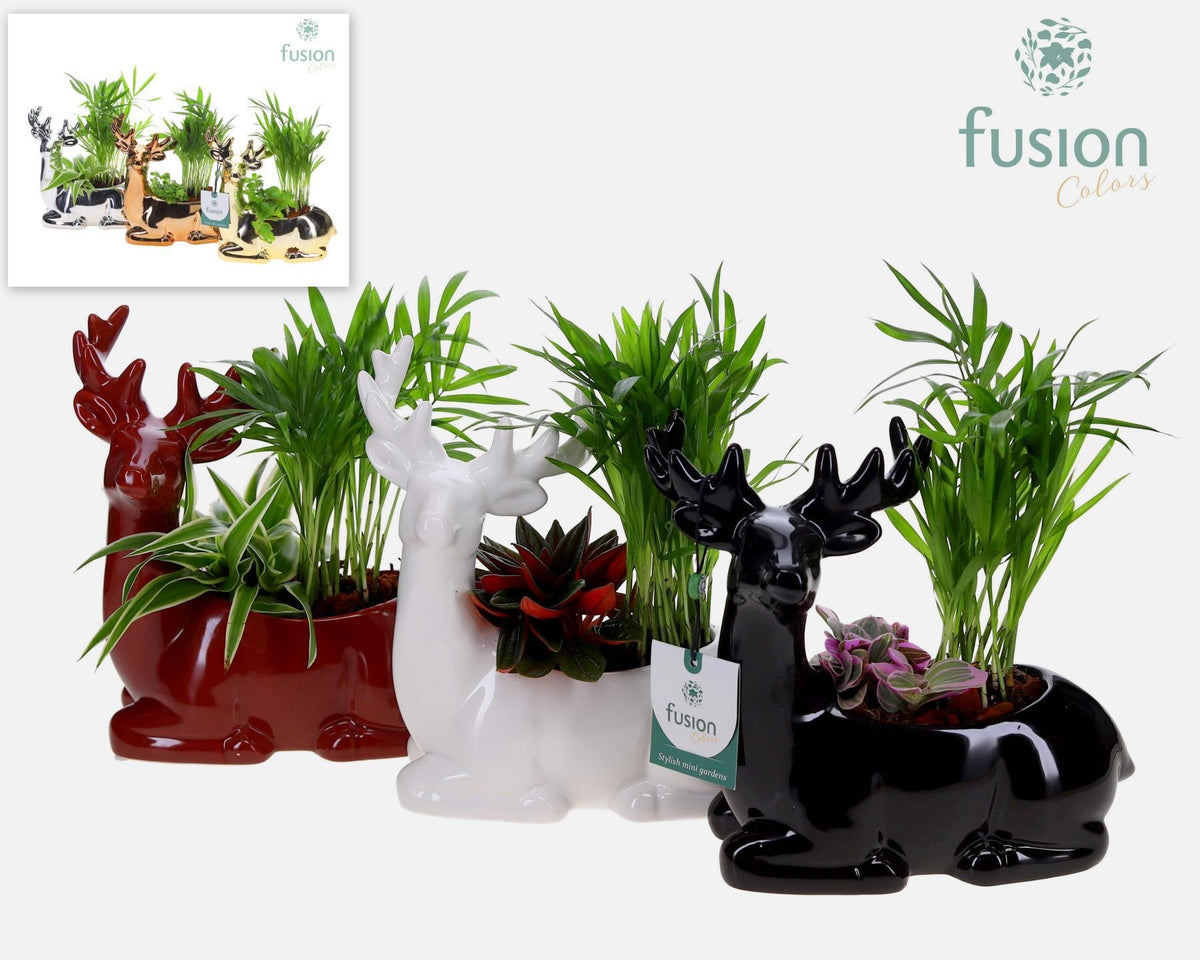 Keramiek rendier Kerst zittend met Groen planten 2pp 20cm 20cm Pot