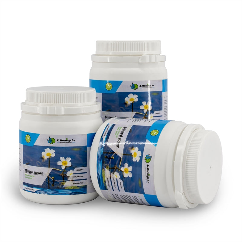 Waterplkw R. Moerings Ceramics Pack of 6