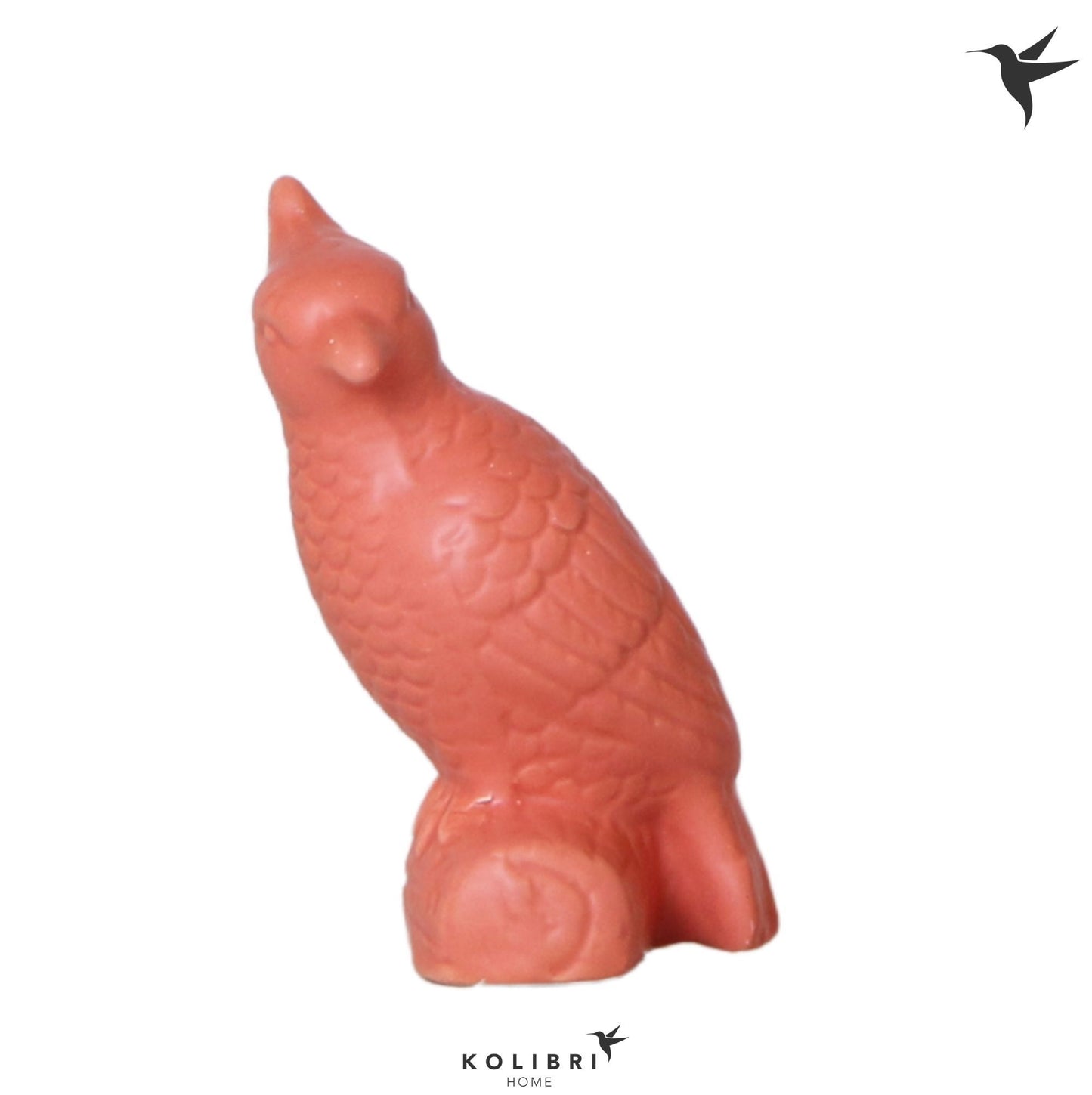 OK Plant Kolibri Home Cockatoo terracotta Pack of 6