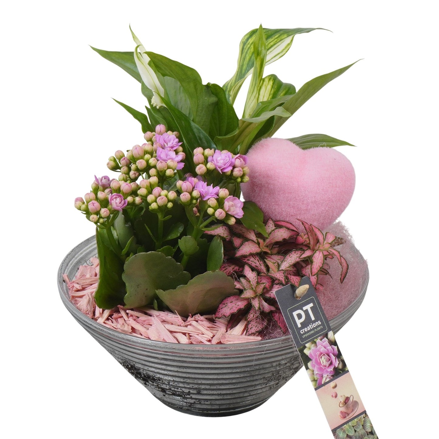 Indoor arrangement 24cm 19cm Pot