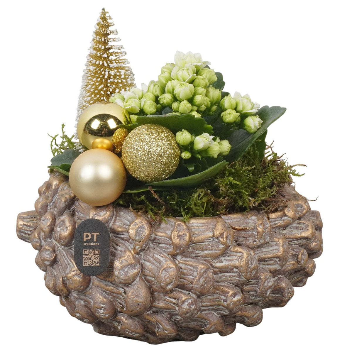 Christmas arrangement 17cm 16cm Pot
