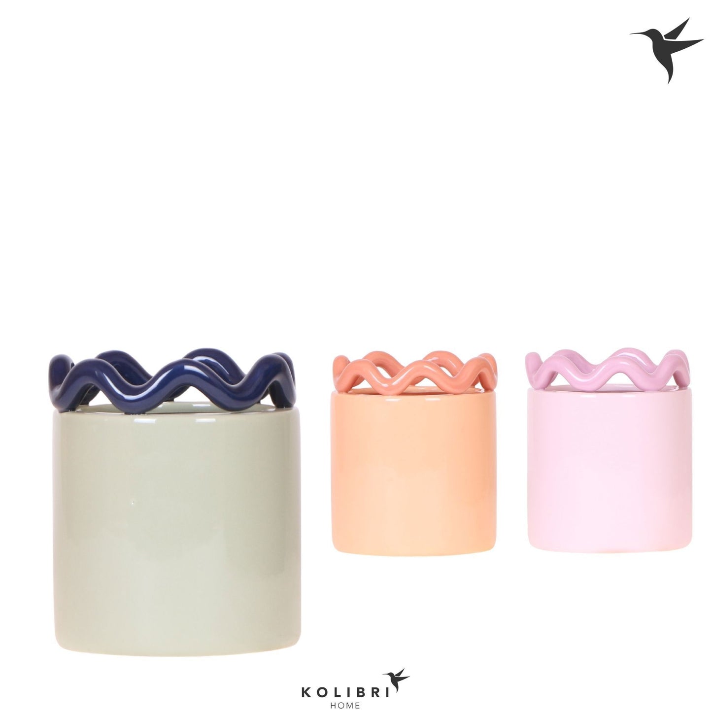 OK Plant Kolibri Home Funky pot mix Pack of 6