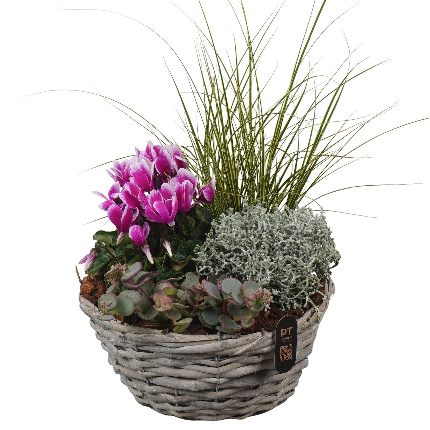 Outdoor arrangement 42cm 23cm Pot