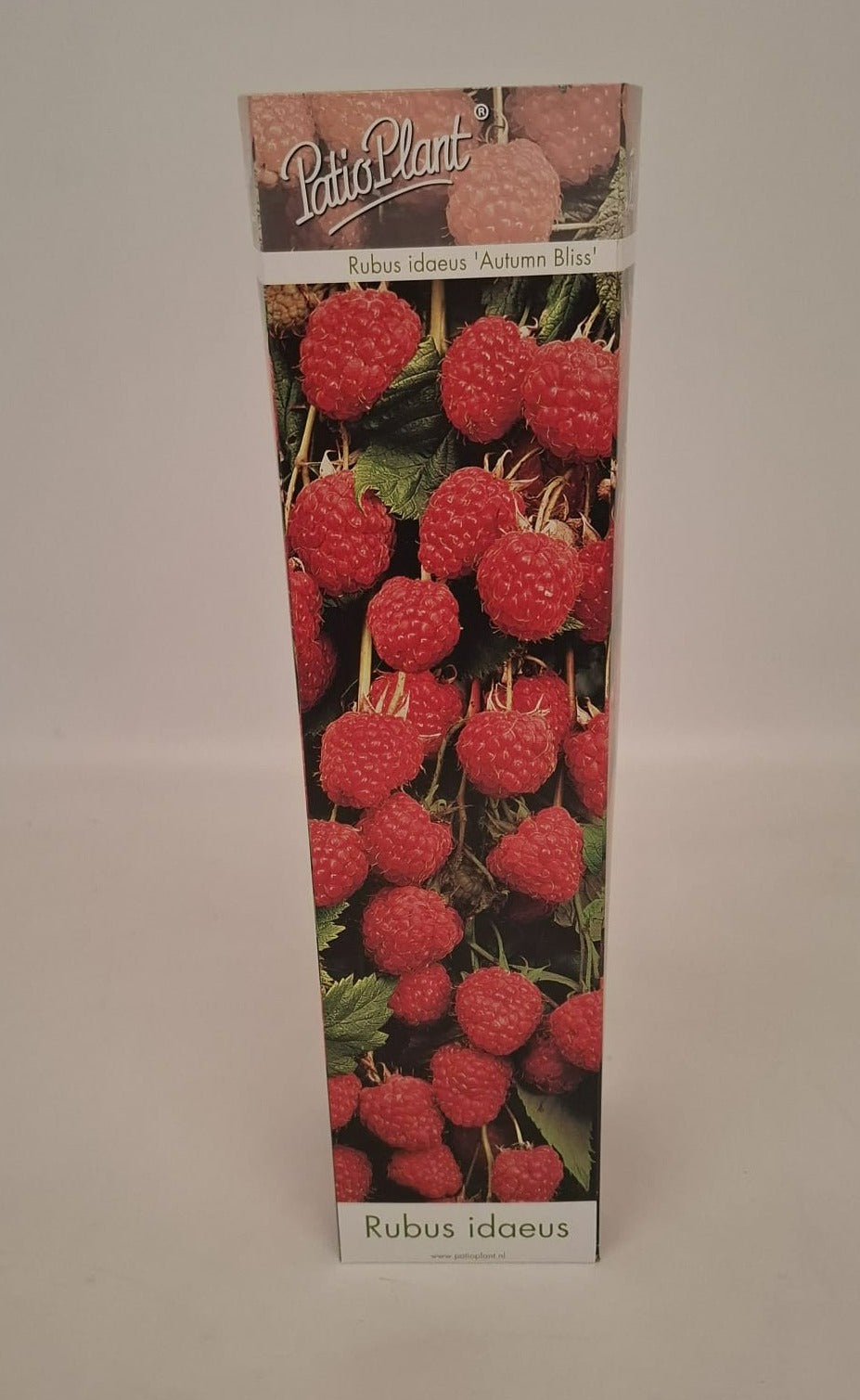 Valk BV Patioplant Fruit/Shrub Climber mix Pack of 20