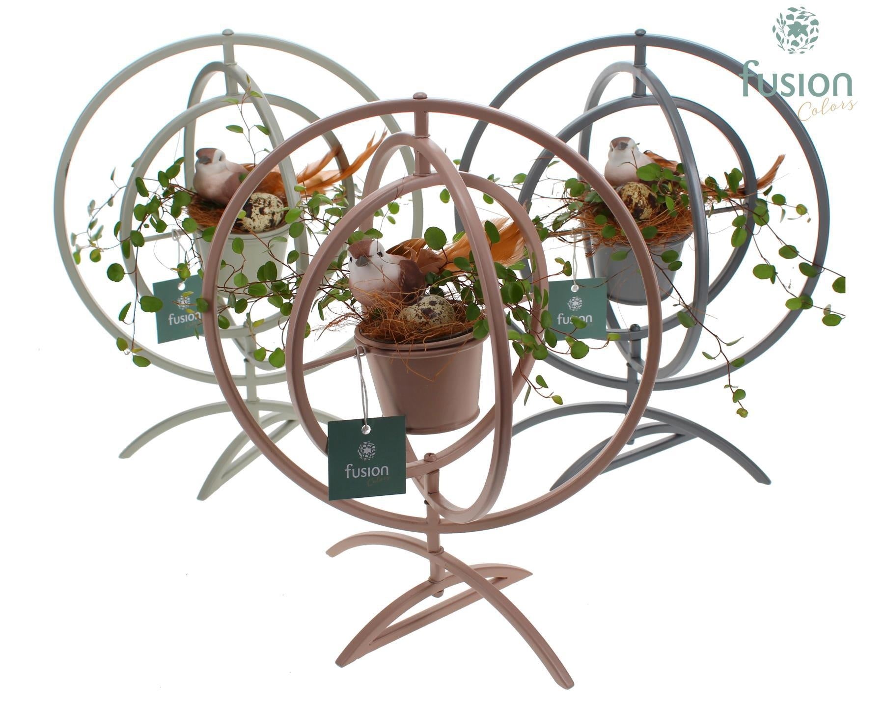 Fusioncolors BV Metaal Globe metaal 3 kleuren Large met Muehlenbeckia Pack of 4