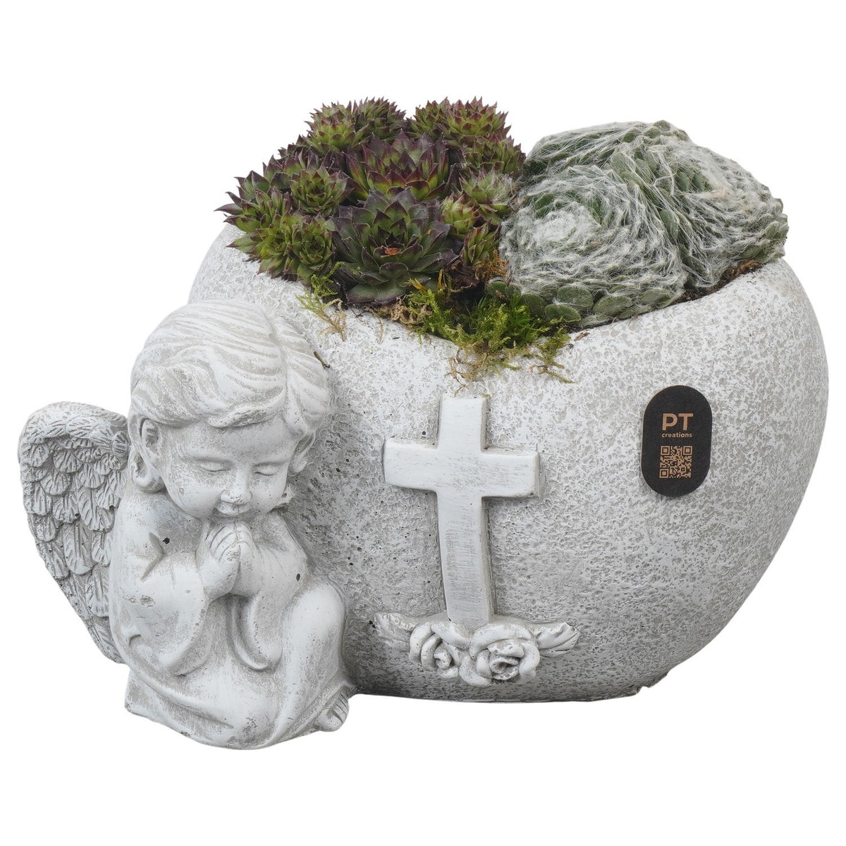 arr. all saints day 15cm 22cm Pot