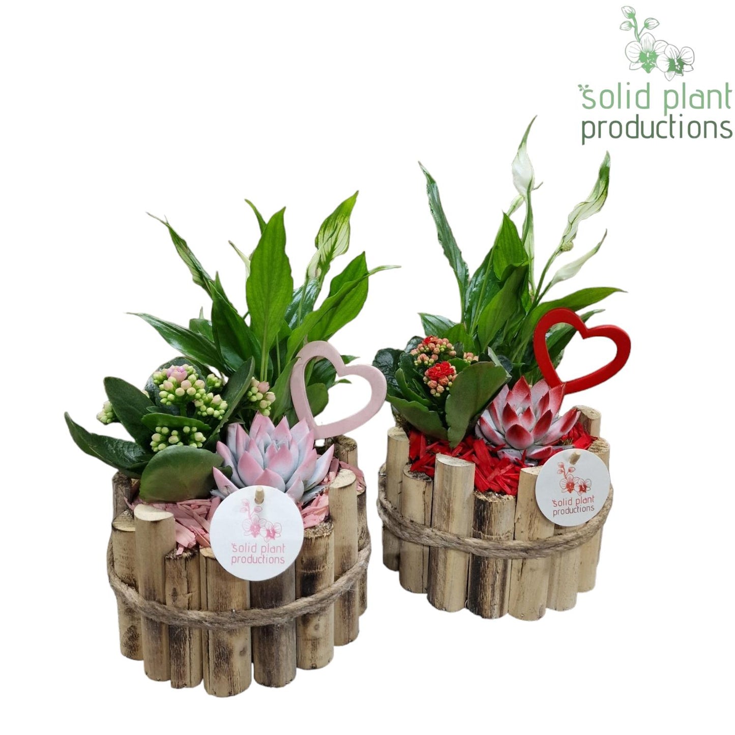 HVSE001 Milano Small Red/Pink 35cm 17cm Pot